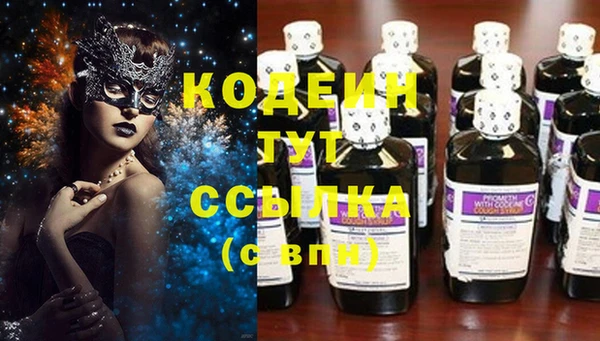 индика Верея