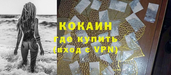 индика Верея