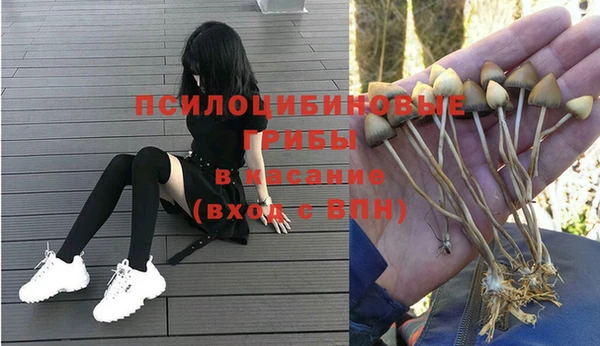 индика Верея