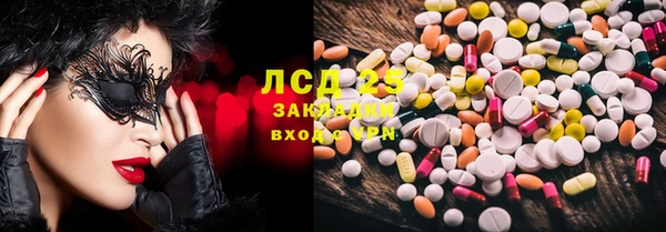 индика Верея