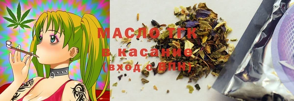 индика Верея