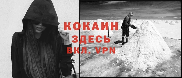 индика Верея